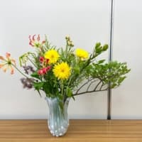 ライセンスコースの投げ入れレッスン♪