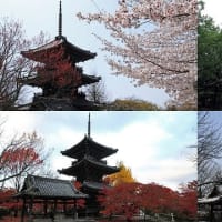 (4K)京都の四季の壁紙(計11枚)