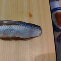 まぐろ人（東京 門前仲町）のお鮨はとてもオススメ！