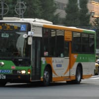 S-V317