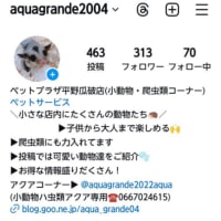 Instagram更新中‼️