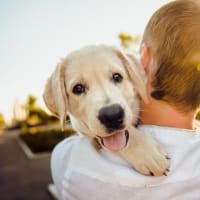 🐾ペット信託とは？