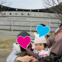 夏妃ちゃんと太陽の塔