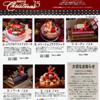 CHRISTMAS CAKE ! 2015