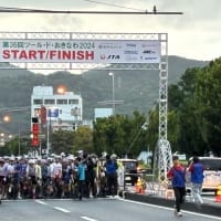 これぞ、ツール・ド・おきなわ
