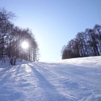 24-25 DAY7 いつの間にやら春スキーの季節