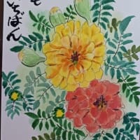 五月晴れ