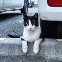 歴史は繰り返すというけれど、上司のとんずらが繰り返される人って何人いるの？な話
