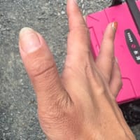 釣りビジョン　押忍！東北つれつれ団