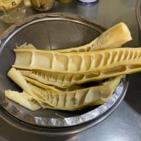 近々ブログ引越しします！