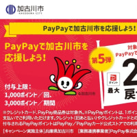 PayPayのキャンペーン始まっています！