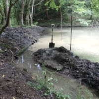 上の池の泥浚い　５