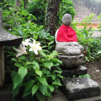 「法然聖人を讃えん」（後編）《2023年度 仏教講座30、2024年3月14日開催》