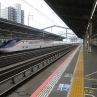 朝駆けのつばさ