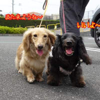 初めてのお出かけは病院　その後に