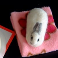 年末に心暖まる羊毛リリさん