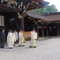 北野天満宮　夏越の大祓　土用干し　猫たちの茅の輪くぐり