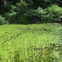 立川散策３