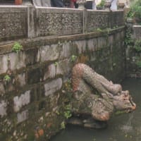 コロナに感染す！