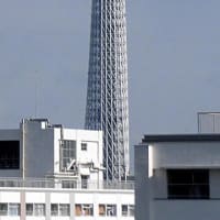 205/6/21の朝の東京スカイツリー