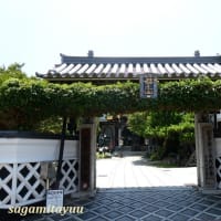 平塚宿本陣菩提寺であった「福生山宝善院」
