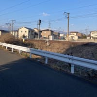 人間は，みんな平等