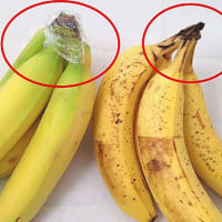バナナの保存