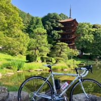 久しぶりの良い気分。