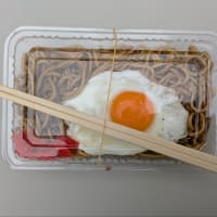 gooブログ最後・コレアキレポート