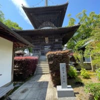 月下美人のツボミ