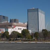 １月のお台場：水と緑のプロムナード散策道とゆりかもめ・旧船の科学館駅　ＰＡＲＴ２