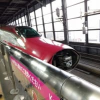 東北 桜旅 9　盛岡