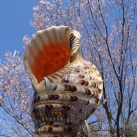 法螺貝、4月度にＦＢ及びＴＷ（Ｘ）に掲載したのをまとめてブログ更新致します。