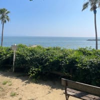 1/1の海