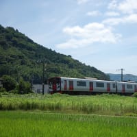 田園風景と通勤電車　JR九州８１５系