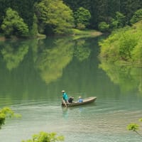 目的地に行けなかったドライブ