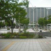 新潟駅前の広場