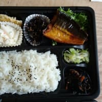 お弁当のお試し期間！