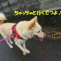 間一髪！