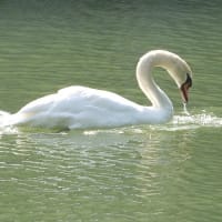 松山城山公園の散策♪（6月27日）
