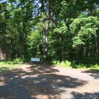 中華楼と野幌森林公園と