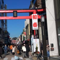 コロナにもめげず？