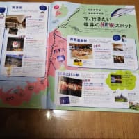 金沢の生活情報誌も福井県を宣伝している