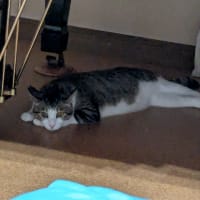 クリンへの想いは尽きなくて・・・308