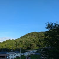 病院のハシゴとか、展覧会とか　の日記です