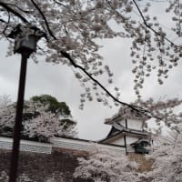 もうすぐ5月