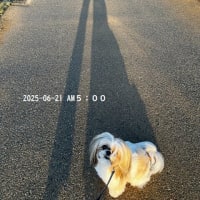昨日の奈緒散歩