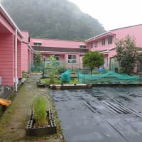 恵みの雨～７月のあれこれ～