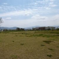 奈良田原本町の唐古鍵遺跡公園の整備進行情況