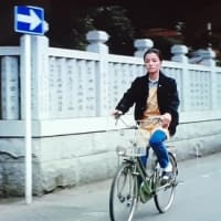 「男はつらいよ 寅次郎真実一路」の撮影現場ー４